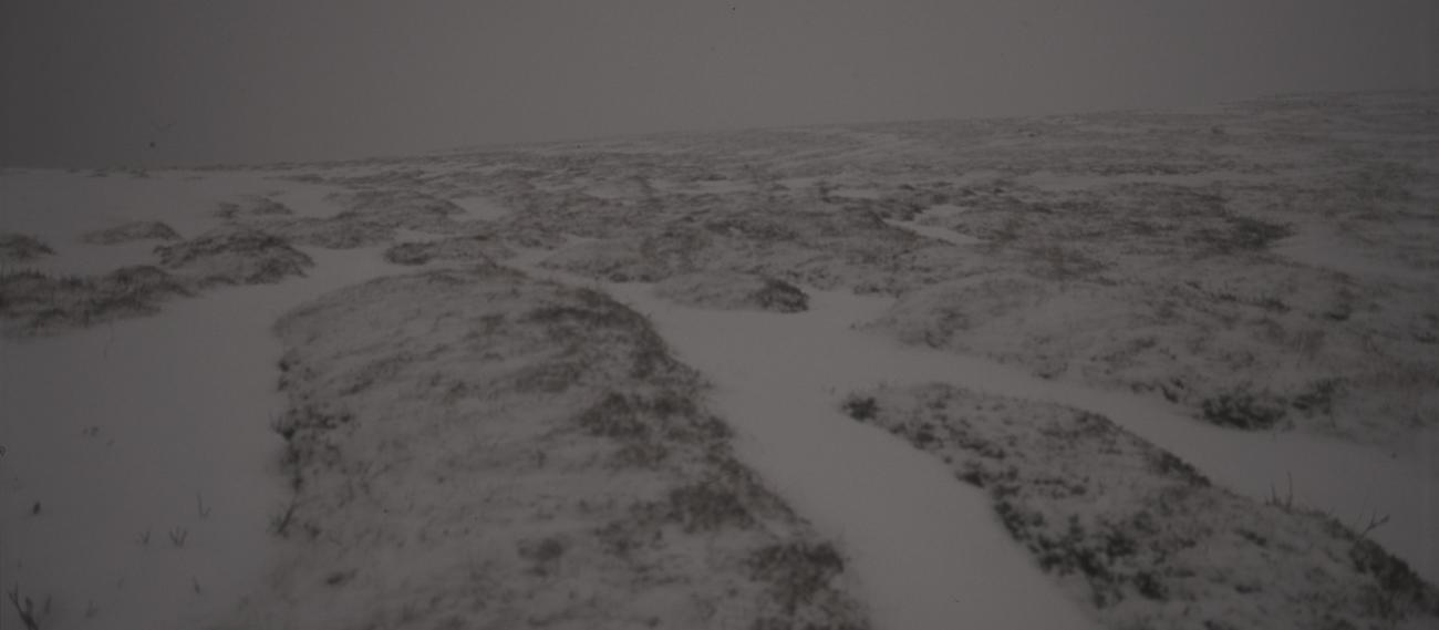 POOLNACHT | De Studio