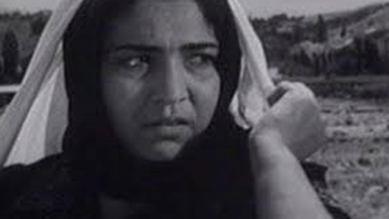 BELYE, BELYE AISTY / WHITE, WHITE STORKS | De Studio