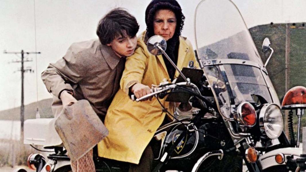 Harold and Maude