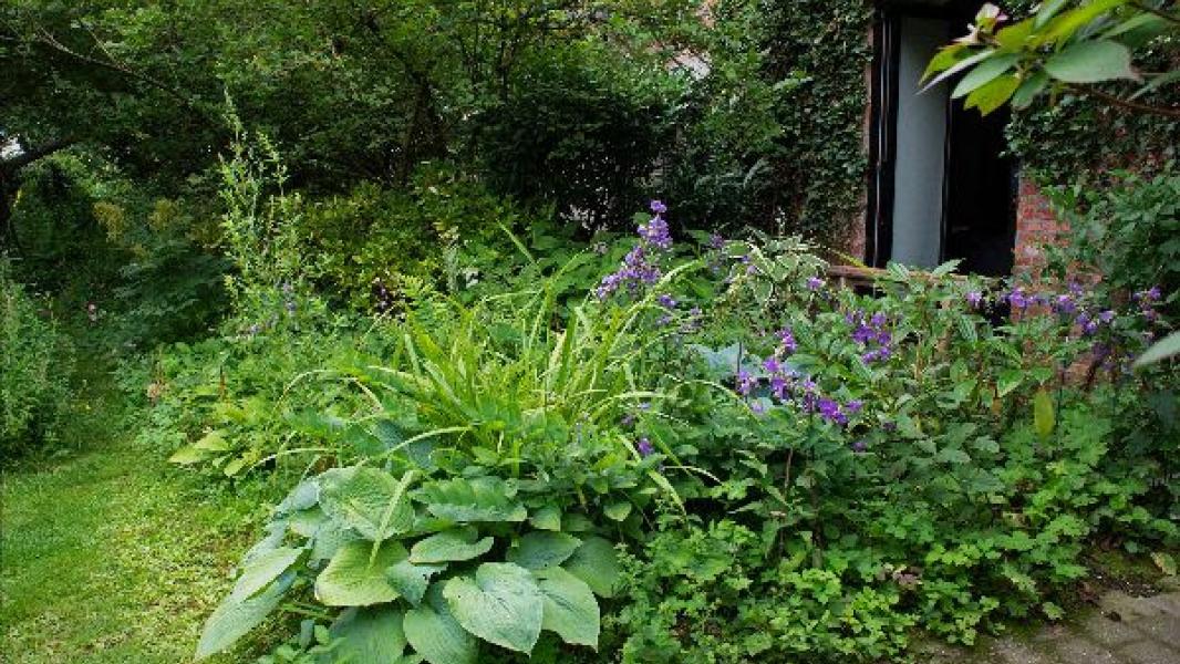 Biodiversiteit in de tuin © Sven Van Baarle