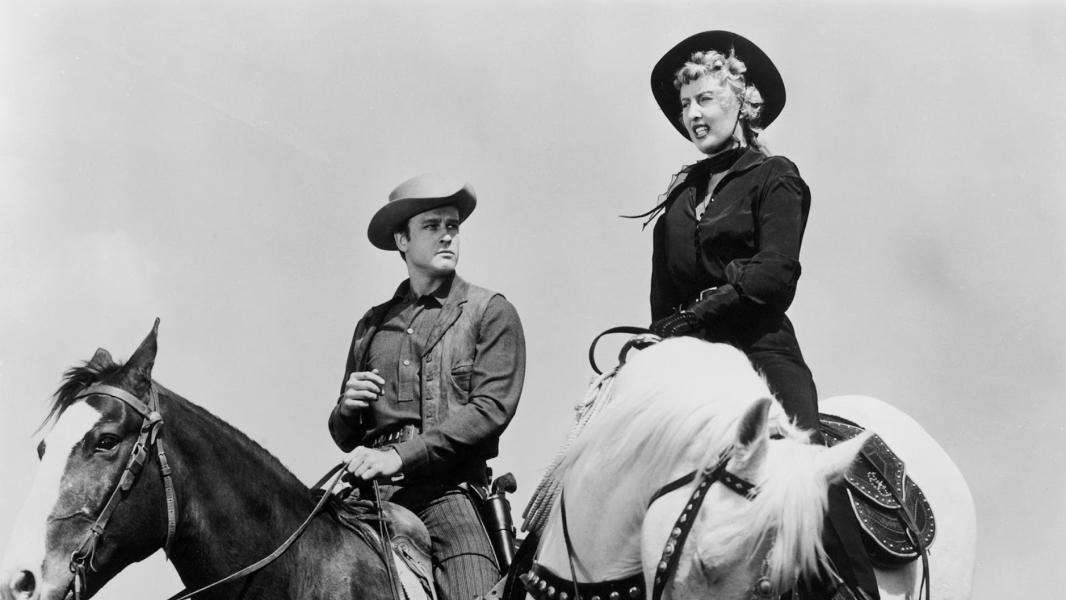 Forty Guns