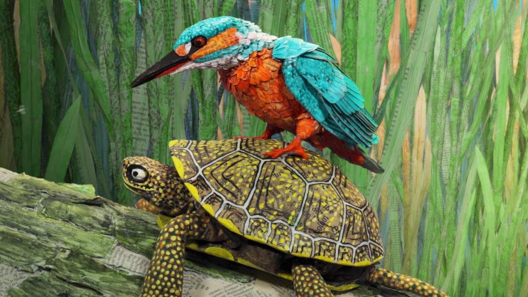 Een vogel zit op een schildpad