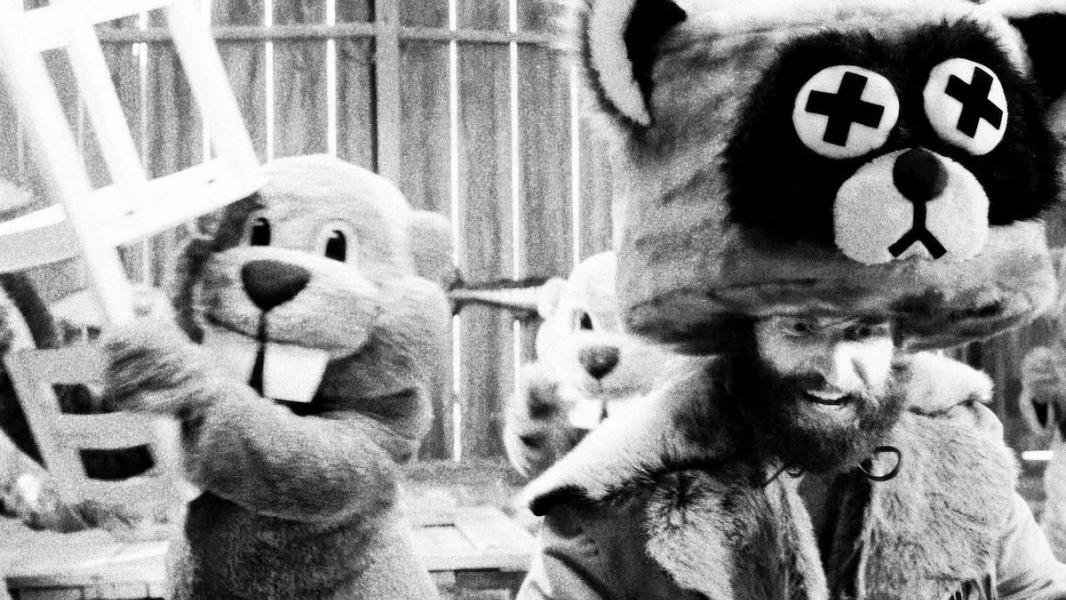 A beaver and a raccoon (not real).