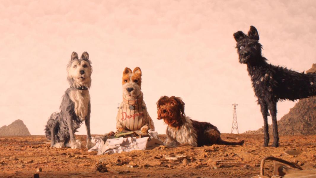 Vier honden in een woestijn.