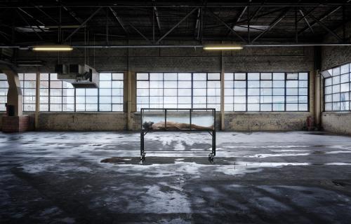 BRAIN FREEZE © Jelle Muller