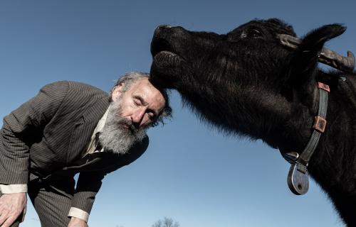 Head to Head © Tom Cornille