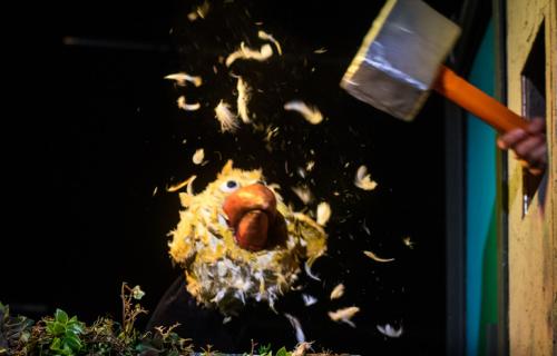 De Dwazen © Ger Spendel