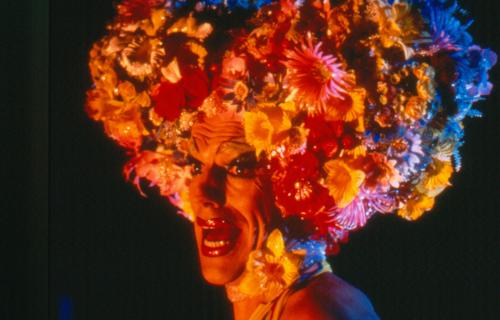 The Adventures of Priscilla, Queen of the Desert