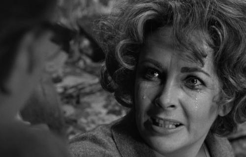 Who's Afraid of Virginia Woolf?