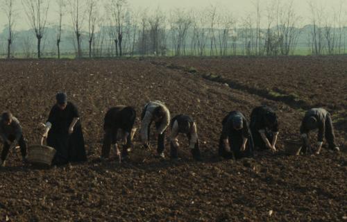 L'albero degli zoccoli / De klompenboom