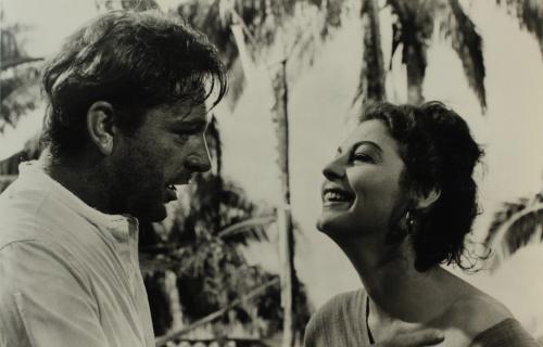 The Night of the Iguana