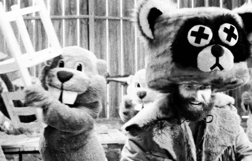 A beaver and a raccoon (not real).