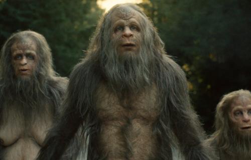 Soorten apen die ergens naartoe kijken uit het beeld.